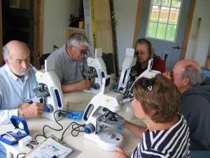 Phytoplankton volunteers