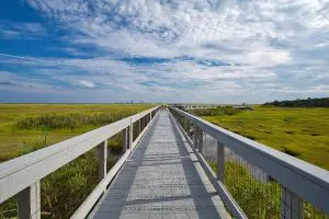 Nerr All Together Now