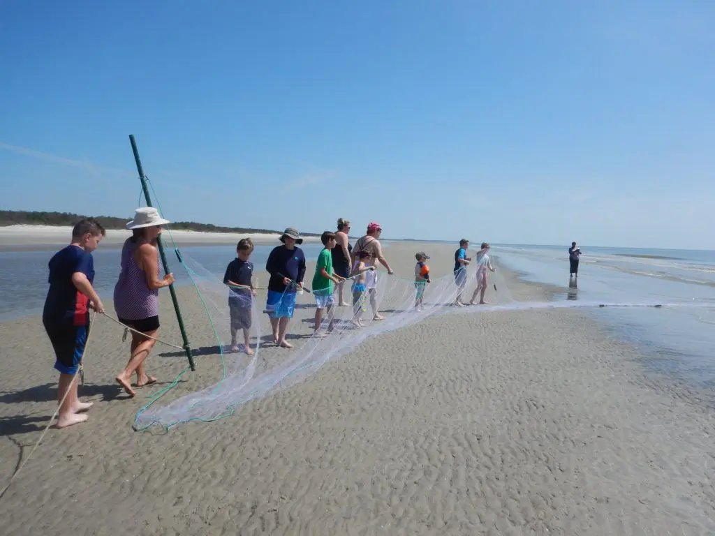 Shrimp Day Sapelo