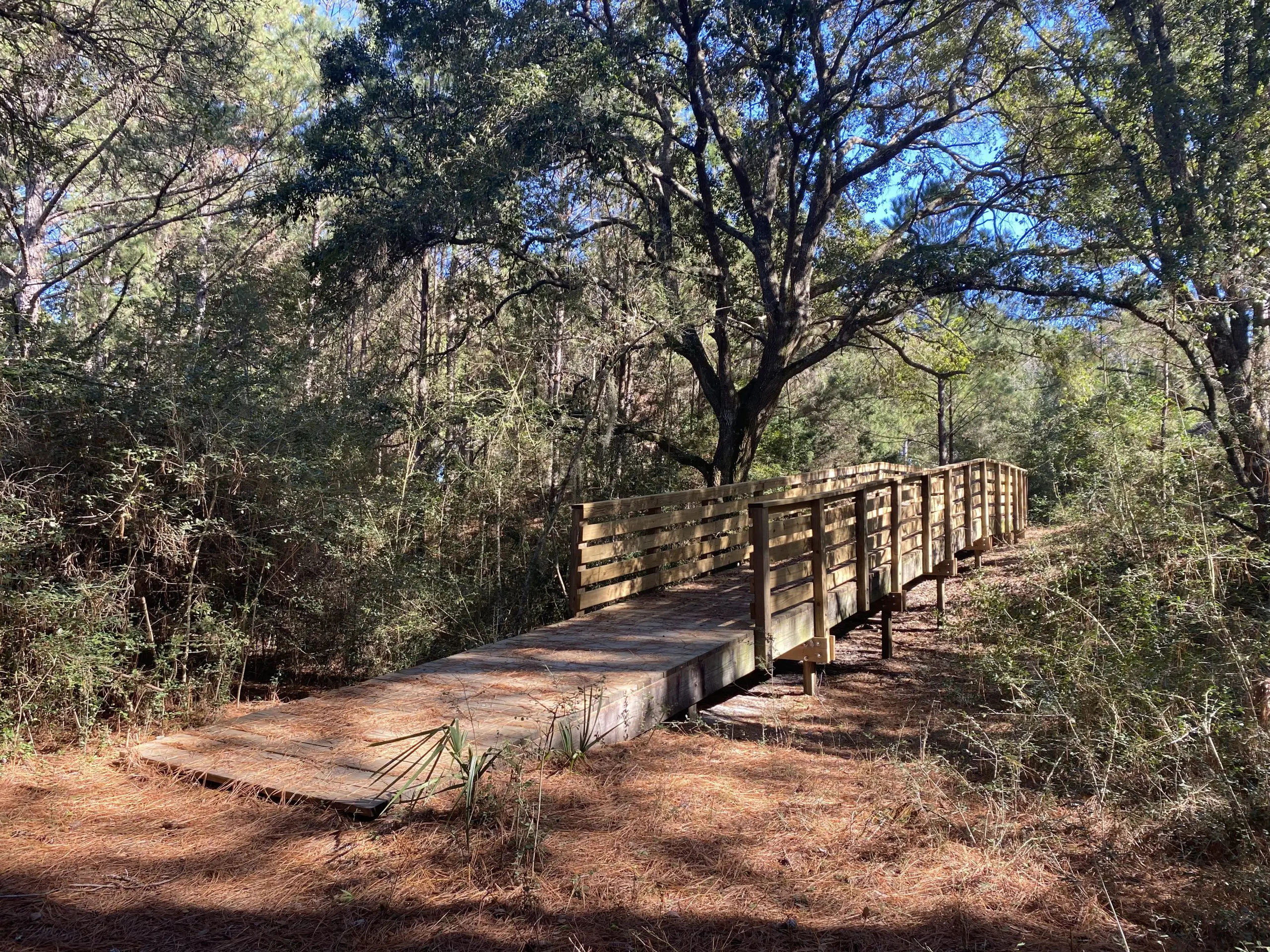 Trails & Public Access