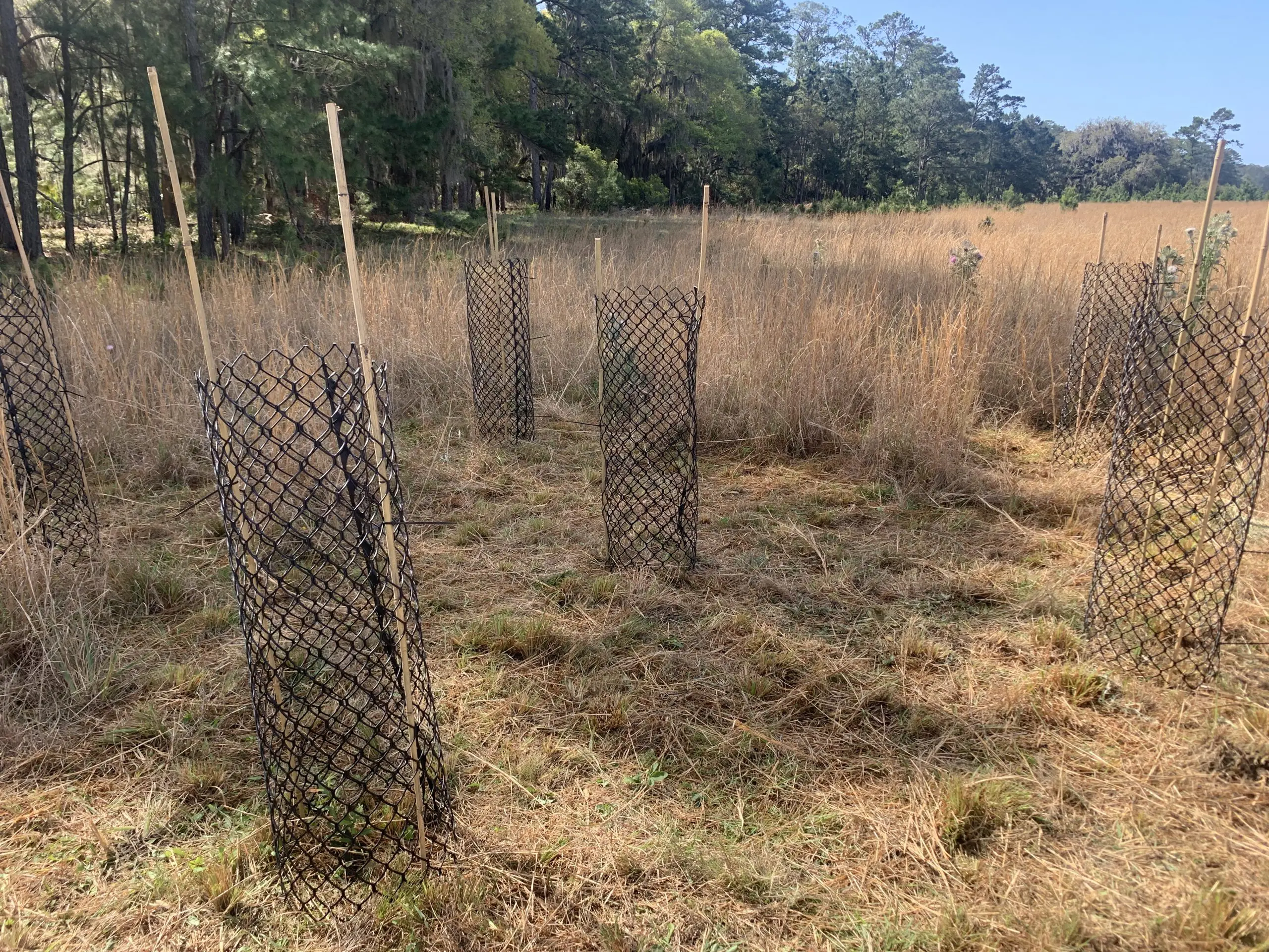 Habitat Restoration & Enhancement