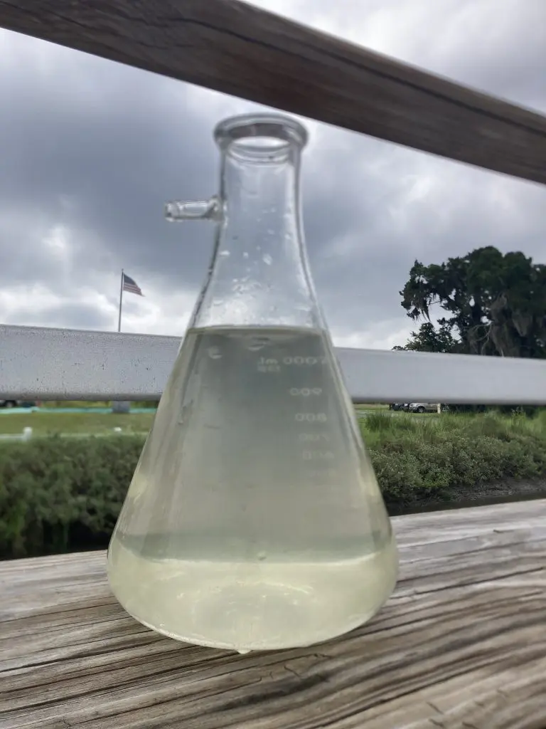 A glass flask full of cloudy estuarine water