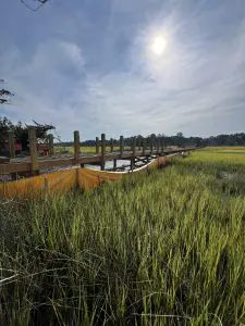 picture of boardwalk in marsh grass