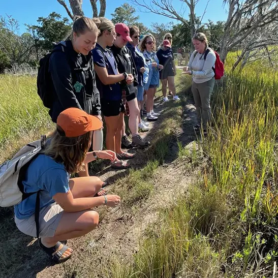 A group of people standing on a trail in the saltmarsh