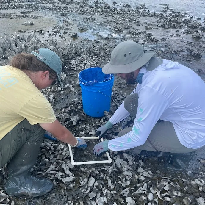 Sapelo NEERS collecting items 