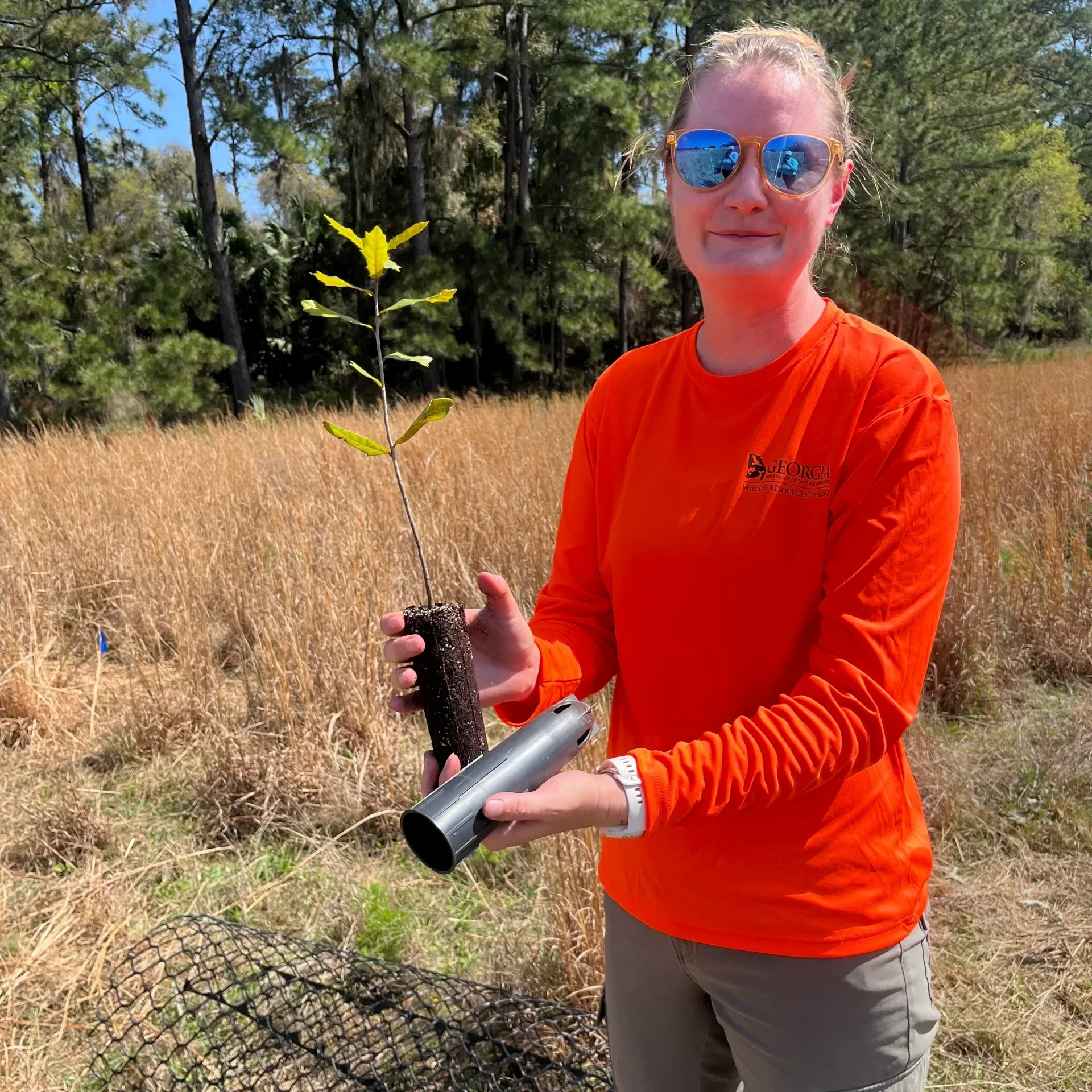Sapelo NERR stewardship
