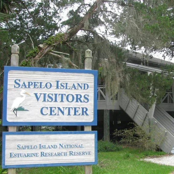 Sapelo NERR Visitor 