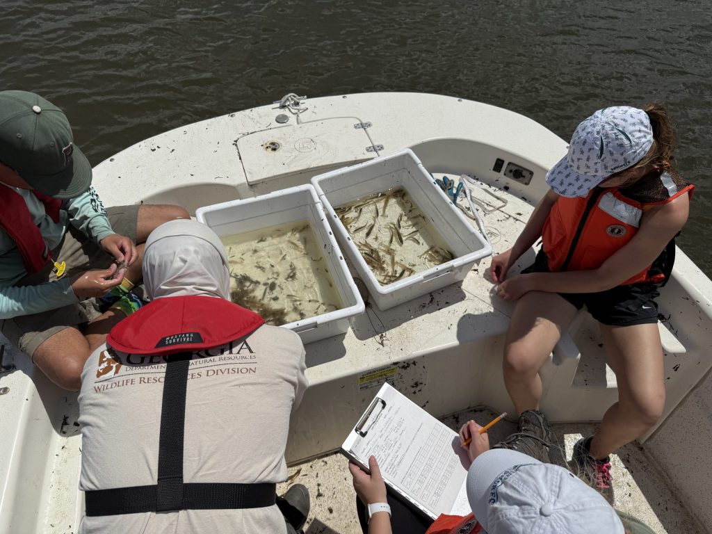 People on a boat measuring fish and taking notes